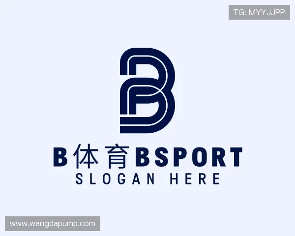 关于b体育bspor